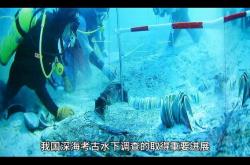 美丽水世界：新手到高手的终极生存指南，轻松征服深海恐惧