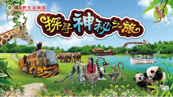 梦幻动物园，探索自然奇迹的奇幻之旅