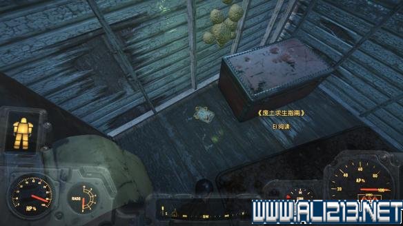 辐射1攻略，深入探索废土的终极指南