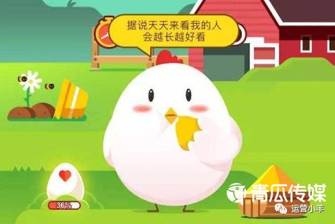 小鸡庄园，揭秘今日答案，让游戏更有趣