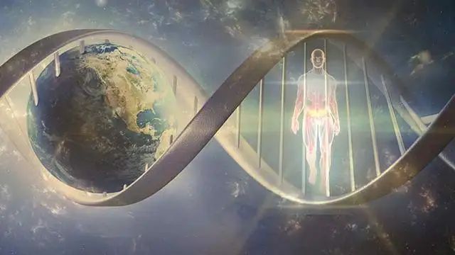 永生幽暗手套，探索神秘力量与禁忌科技的边界
