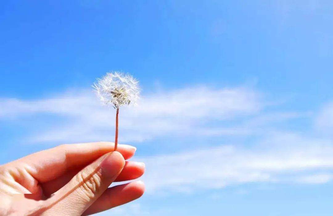 在平凡中发现幸福，简单生活的艺术
