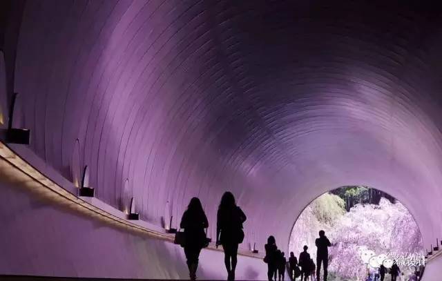 神奇电影院，穿越现实与幻想的光影之旅