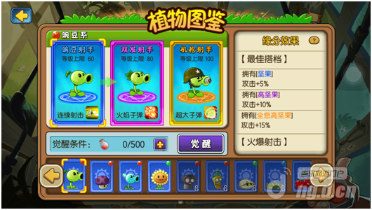 绿色英雄的奇幻之旅，植物大战僵尸冒险全解析
