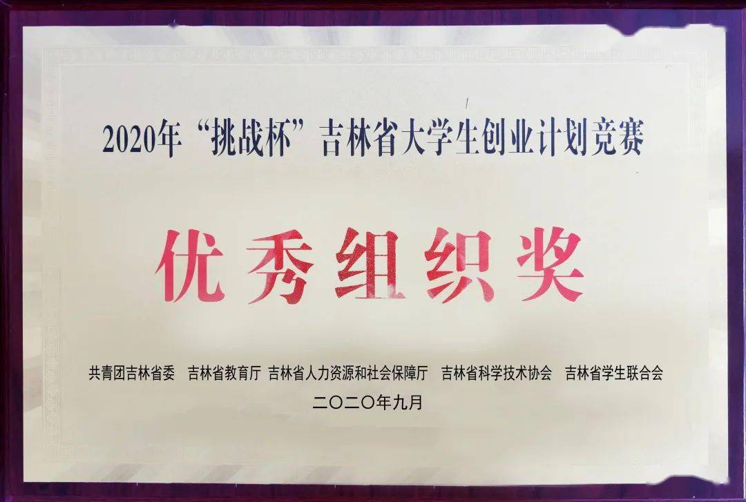 刻录机驱动，技术革新与应用指南
