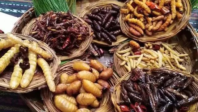 识食物者为俊杰，探索食物与智慧的奇妙联系