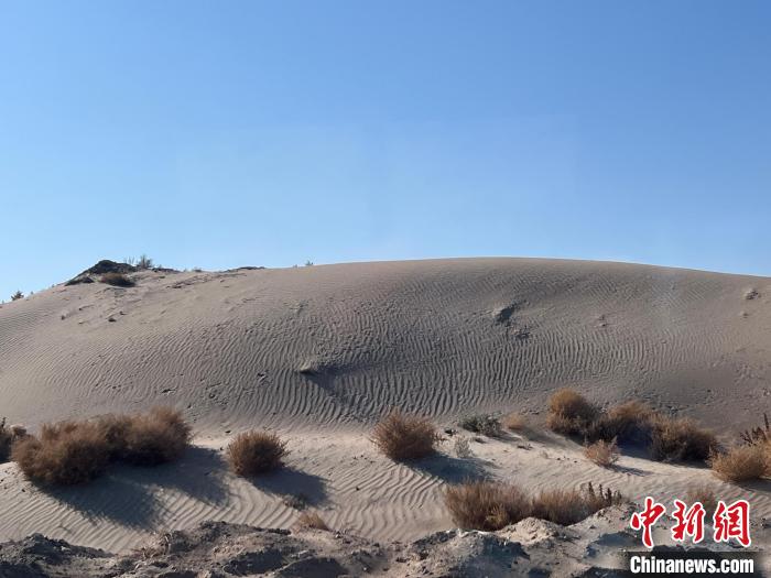 探索心灵绿洲，边陲荒漠中的冥想之旅