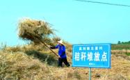 黑龙江部署秸秆禁烧工作，守护蓝天绿地的坚定行动