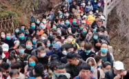 人人拥挤的景点现象探究