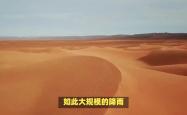 撒哈拉沙漠暴雨引发洪水，自然界的奇迹与人类的挑战