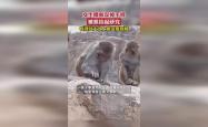 女生捡手机竟被压山下，孙悟空般的经历
