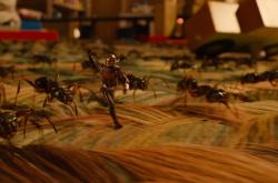 微观世界的超级英雄，疯狂的虫子