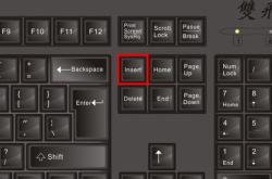 提升打字速度与精准度的秘密武器，小键盘练习软件深度解析