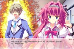 恋花绽放樱飞时，日本樱花文化的深度解析