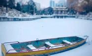 石家庄大雪，冬日里的美丽与挑战