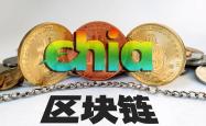 奇亚币（Chia）绿色数字货币的崛起与未来前景