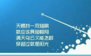 揭秘星月设计网，你的创意伙伴与灵感源泉