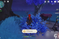 原神清籁旧宝，探索稻妻的神秘遗迹与文化瑰宝