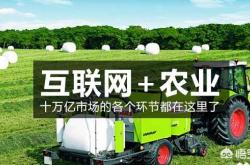 疯狂的农场，探索农业科技的奇妙世界