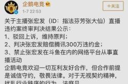 张大仙赔偿300万，网络直播中的法律风险与道德责任