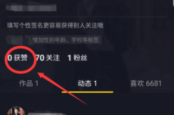 抖音访客记录全解析，如何查看你的抖音访客记录