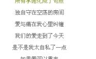 慢慢喜欢你，歌词中的诗意与情感