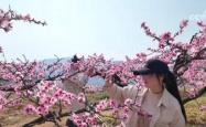 春水初生，桃花始盛，探索上巳节的古老风俗与现代传承