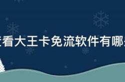 大王卡免流游戏有哪些平台