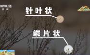 不怕不怕，歌曲的力量与生活的勇气