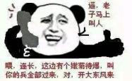 金馆长熊猫，网络文化中的幽默大使