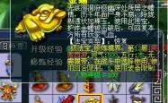 探索梦幻西游测试区，玩家的乐园与游戏平衡的实验室