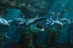 Maneater电影解析：从恐惧到理解，揭秘鲨鱼真实习性与海洋保护