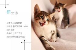 喵星人大战破解版：安全下载与使用全攻略，避开风险畅享猫咪军团乐趣