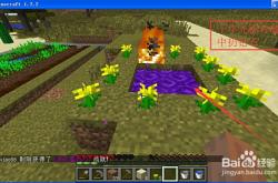 我的世界暮色森林模组安装与探索指南：轻松开启魔法世界冒险