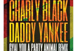 Party Animal终极指南：从文化解析到健康平衡，轻松成为派对达人