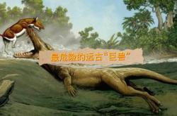 古巨蜥产品开发全攻略：揭秘史前巨兽的商业价值与市场机遇