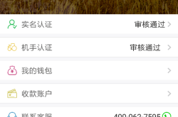 手机管家下载全攻略：安全获取、版本选择与高效设置，让你的手机运行如飞