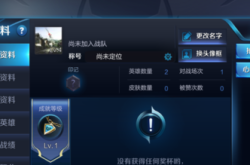 游戏ID空白代码修复指南：轻松解决ID显示异常，告别组队困扰