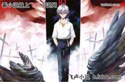 使徒来袭：揭秘EVA神秘入侵背后的真相与人类存亡之战