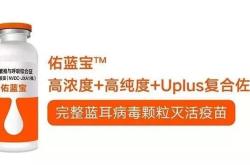 爱情药水真的有效吗？揭秘古代配方与现代科学的真相，轻松避开风险陷阱