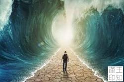 命运的抉择：如何做出改变人生的重大选择并避免后悔