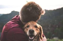 超级狗狗：聪明伙伴的养成秘诀，让养狗更轻松快乐