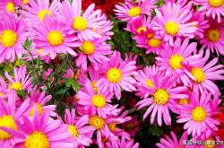 跑酷小游戏在线免费玩，轻松上手随时随地享受快乐时光