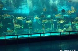 海洋公主：揭秘经典形象与跨文化魅力，带你探索深海奇幻世界