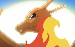 神奇宝贝剑盾版本选择攻略：独占精灵、道馆差异与极巨化玩法全解析