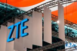 金红双蝎养殖技术与药用价值全解析：从入门养殖到药用创新，轻松掌握致富秘诀