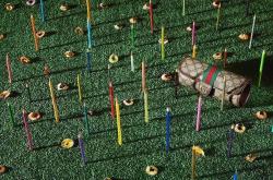 幻之国度新手必看：从入门到精通的全攻略，轻松掌握魔法与科技交织的奇妙世界