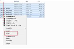 PS2 BIOS终极指南：轻松解决模拟器兼容性问题，畅玩经典游戏