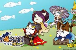 信喵之野望新手攻略：轻松上手猫咪战国，告别迷茫快乐征战