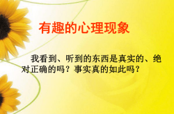 守护之心：如何培养主动关怀的内在驱动力，提升心理健康与幸福感